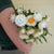 White Strawflower