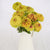 Queeny Lime with Blotch