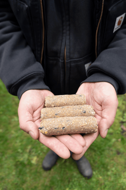 Fruit & Berry Suet Plugs - 8 Pack