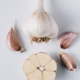 Great Northern Organic