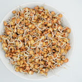 Green Lentils Organic