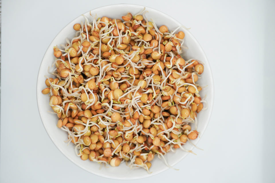 Green Lentils Organic