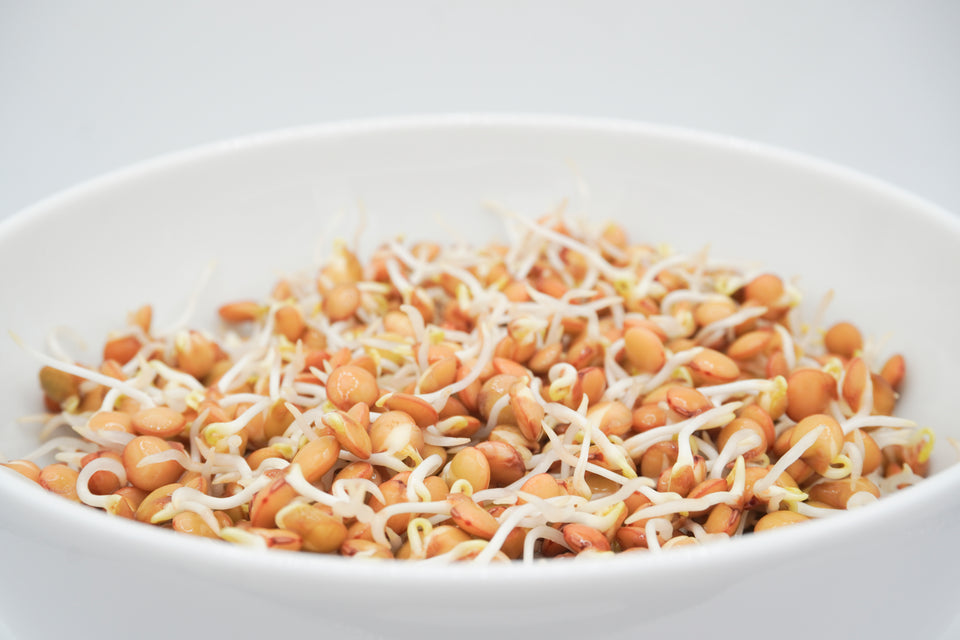 Green Lentils Organic