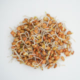 Green Lentils Organic