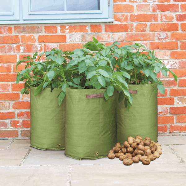 Potato/Tomato Grow Bags (3 bags) – West Coast Seeds
