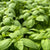 Noga Prospera Active F1 Organic