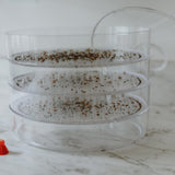 Biosta Kitchen Crop Sprouter