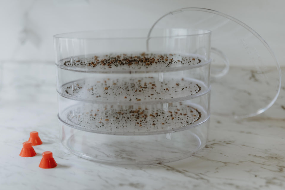 Biosta Kitchen Crop Sprouter