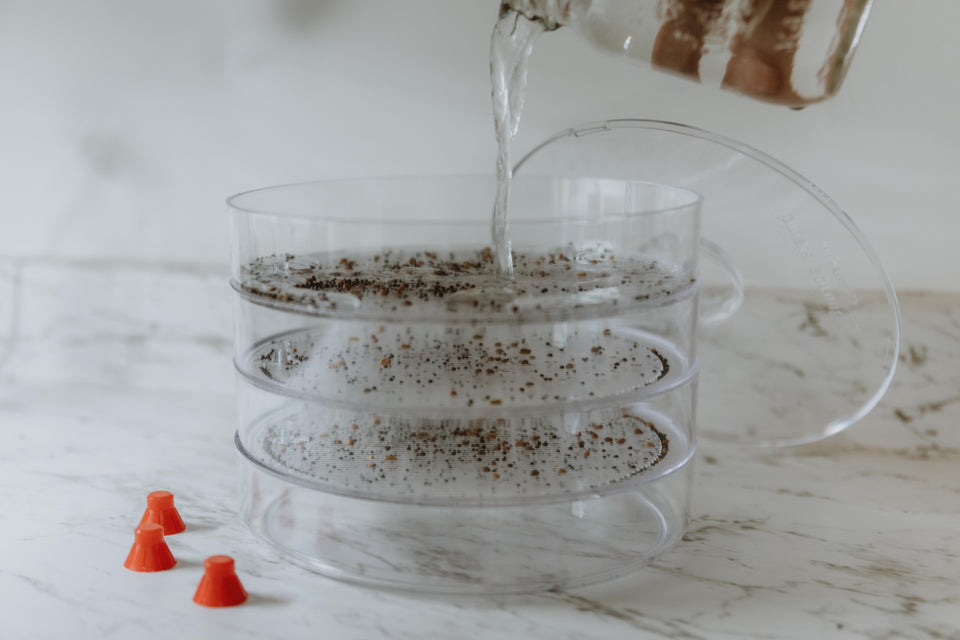 Biosta Kitchen Crop Sprouter