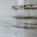 Biosta Kitchen Crop Sprouter