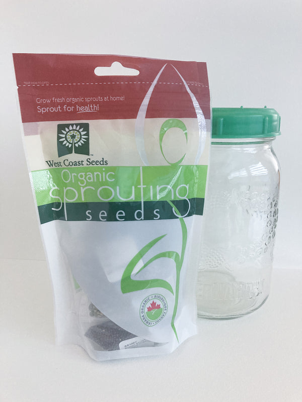 Sprouting Jar with Plastic Lid and Seeds