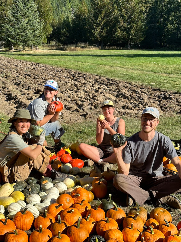 Elk root interns growing food.