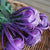 Azur Star Certified Organic