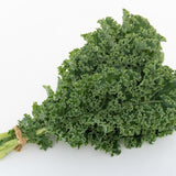 Arun  F1 Organic