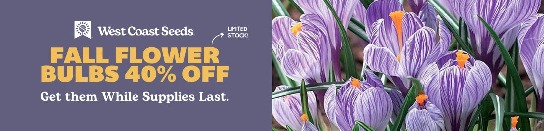 Fall Flower Bulbs Are 40% Off!