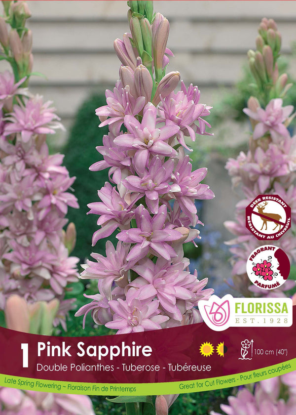 Tuberose Pink Sapphire 1pk