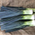 Oslo F1 Certified Organic