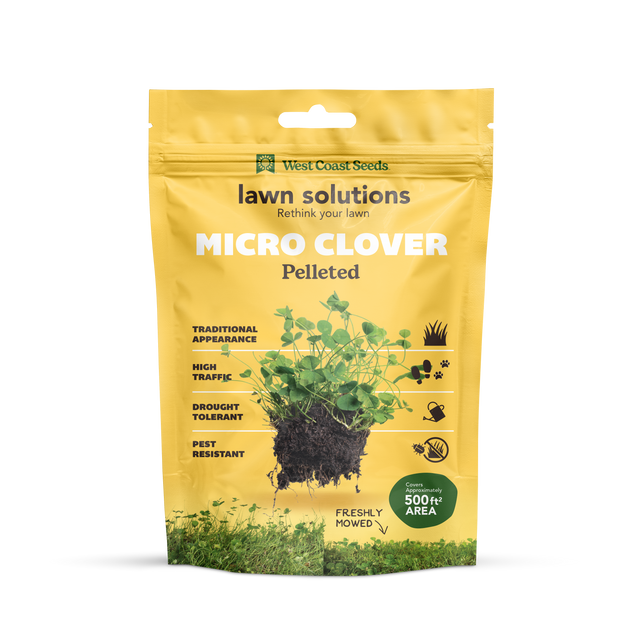 Microclover Roots Micro Clover Seeds for Lawn Replacement – West Coast Seeds