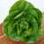 Newham Pelleted Certified Organic