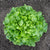 Bauer Pelleted Organic