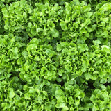 Bauer Pelleted Organic