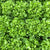 Bauer Pelleted Organic