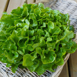 Bauer Pelleted Organic