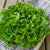 Bauer Pelleted Organic