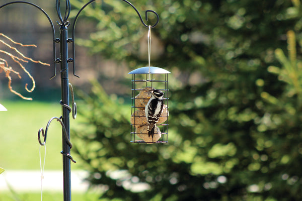 Large Suet Ball Feeder