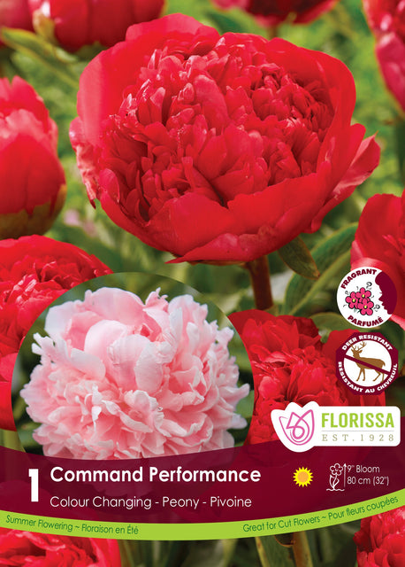 Peony Command Performance 1pk