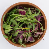 Three Week Microgreen Seeds