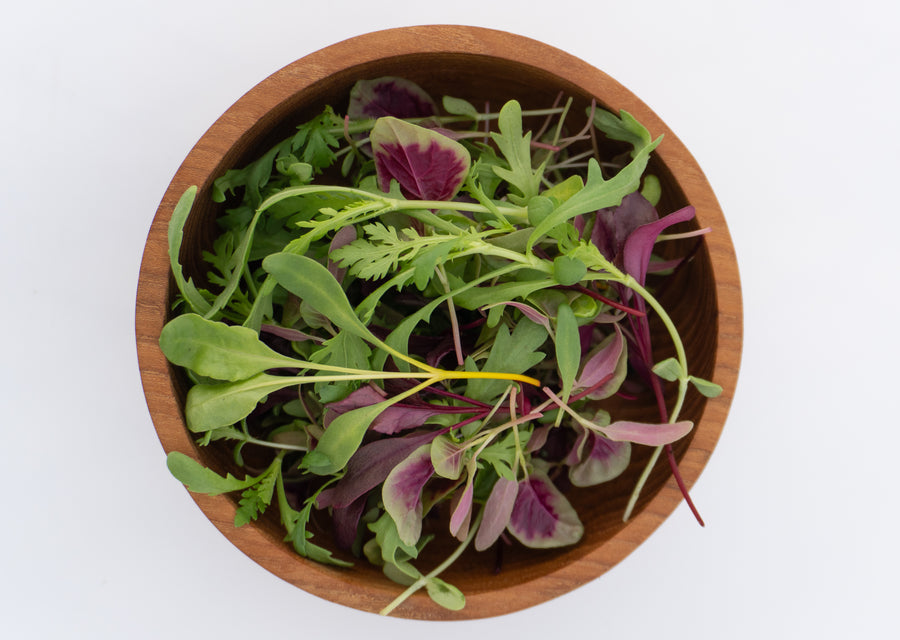 Three Week Microgreen Seeds
