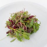 Three Week Microgreen Seeds