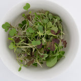 Two Week Microgreen Seeds