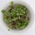 Two Week Microgreen Seeds