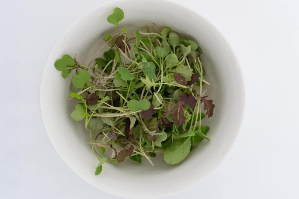 Two Week Microgreen Seeds