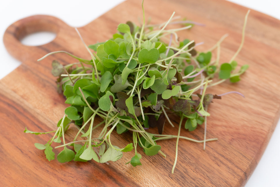 Two Week Microgreen Seeds