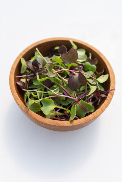 Radical Radish Mix