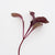 Microgreen Beet Seeds