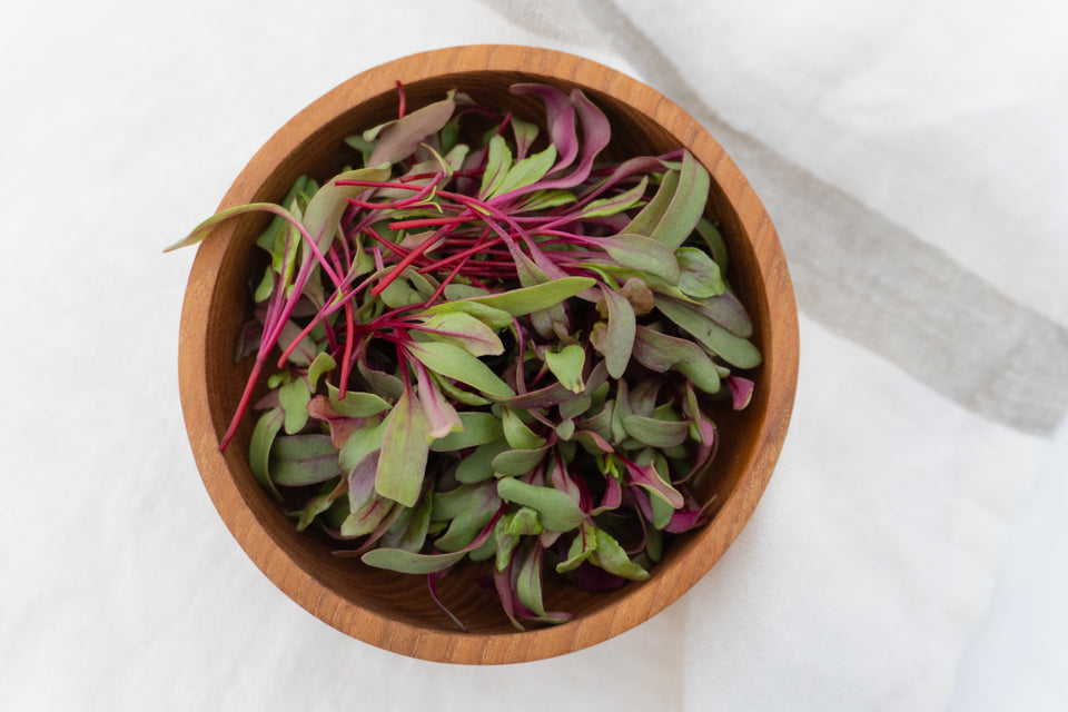 Microgreen Beet Seeds