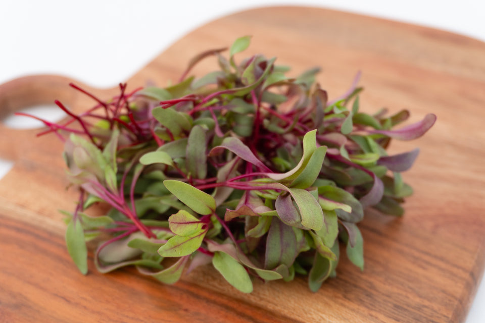 Microgreen Beet Seeds