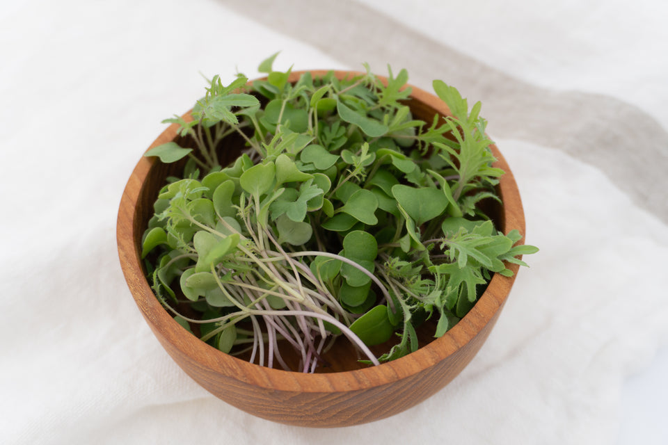Microgreen Kale Seeds