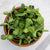 Microgreen Sunflower Seeds Organic