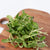 Microgreen Sunflower Seeds Organic