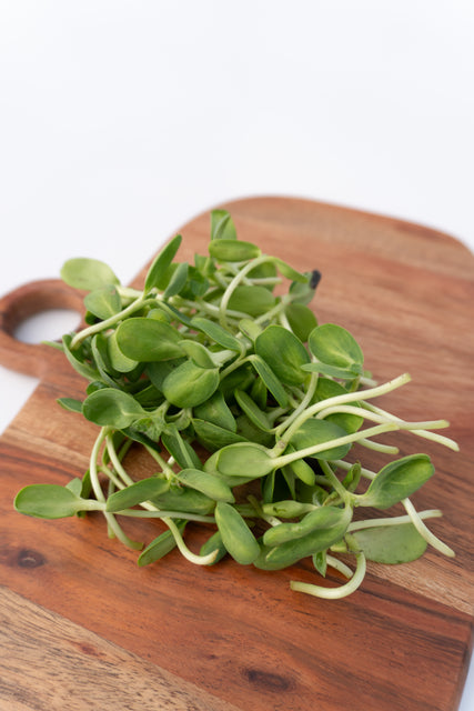 Microgreen Sunflower Seeds Organic