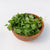 Microgreen Arugula Seeds