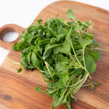 Microgreen Arugula Seeds