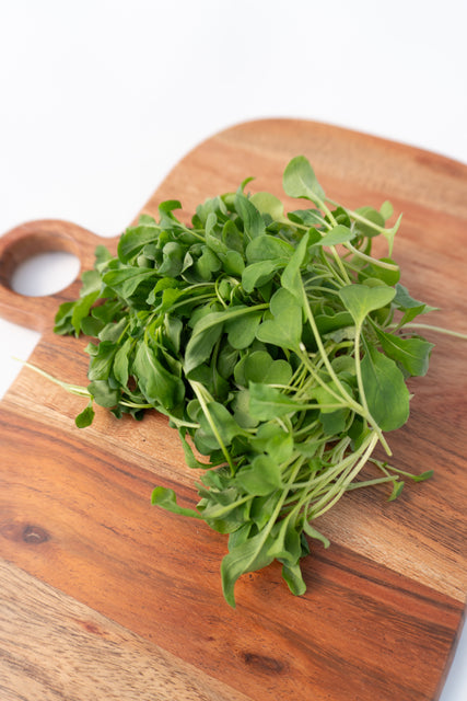 Microgreen Arugula Seeds