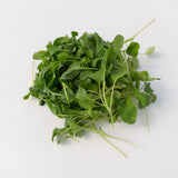 Microgreen Arugula Seeds