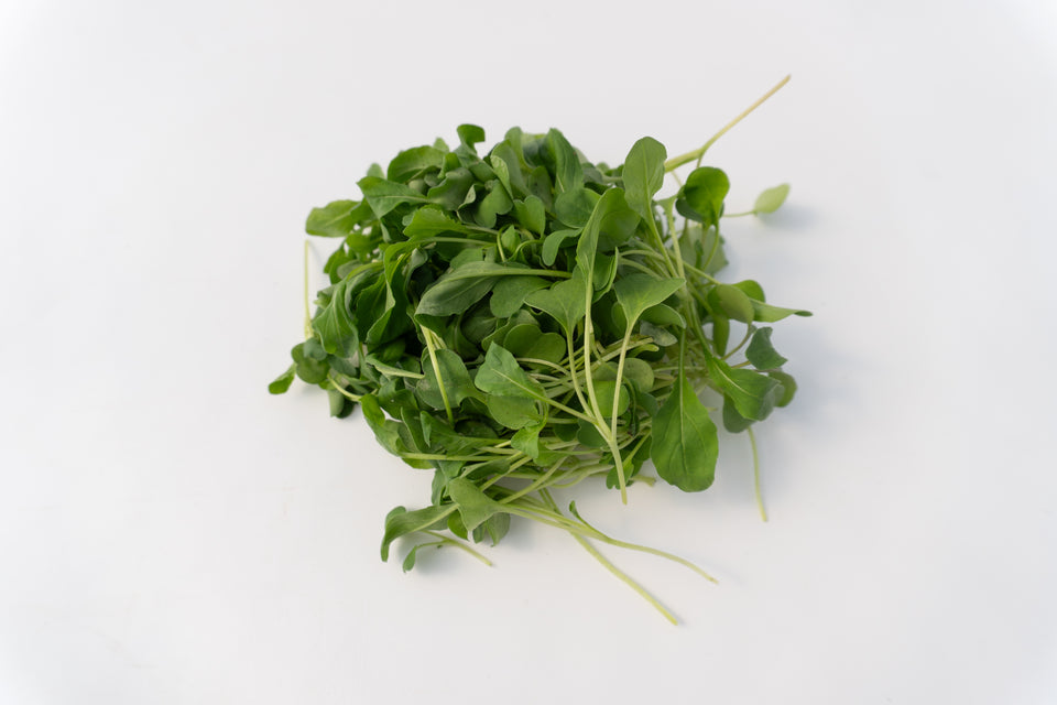 Microgreen Arugula Seeds